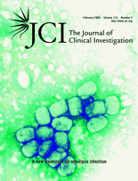 Current Issue